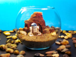 Star Wars terrariums bring a little piece of Dagobah into your home