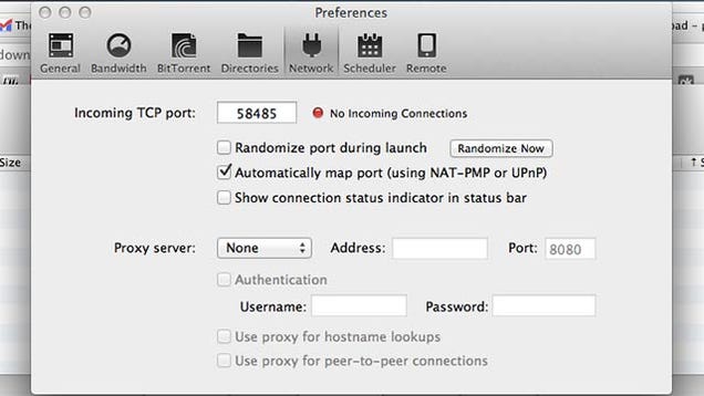 Adjust Your BitTorrent Settings