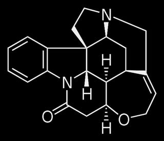 10 of the Most Dangerous Chemicals in the World