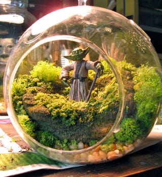 Star Wars terrariums bring a little piece of Dagobah into your home