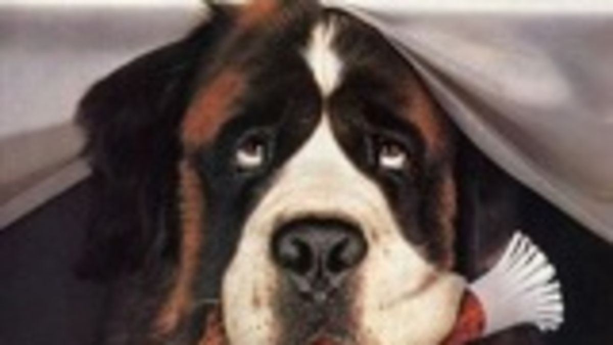 The Ups And Downs Of Having A John Hughes Boyfriend