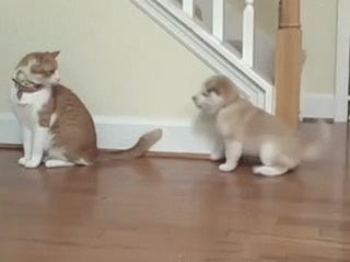 What Are You Doing?
