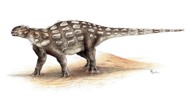 dinosaur with spikes on back and club tail