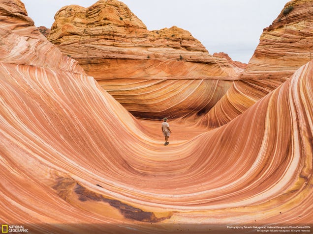 The best pictures from National Geographic's Photo Contest 2014