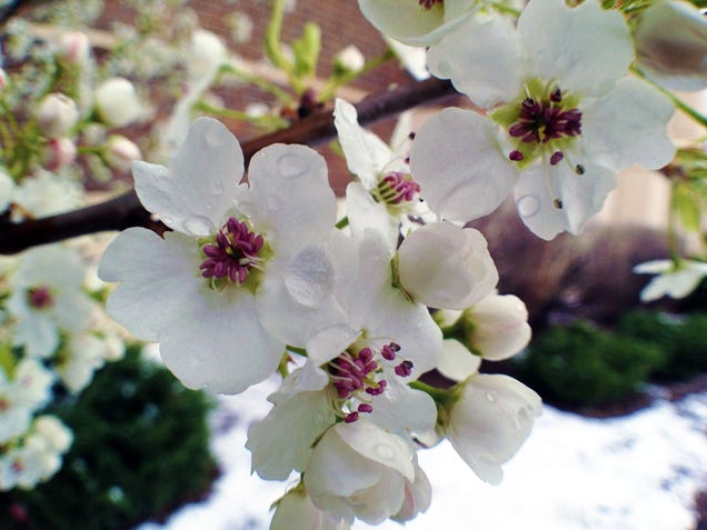 Shooting Challenge: Spring Gallery 1
