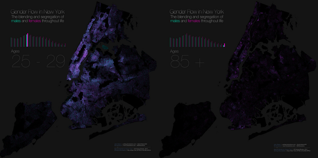 This map of gender segregation shows how New Yorkers live and die