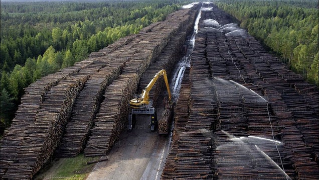 The 100 Most Astonishing Images of 2012