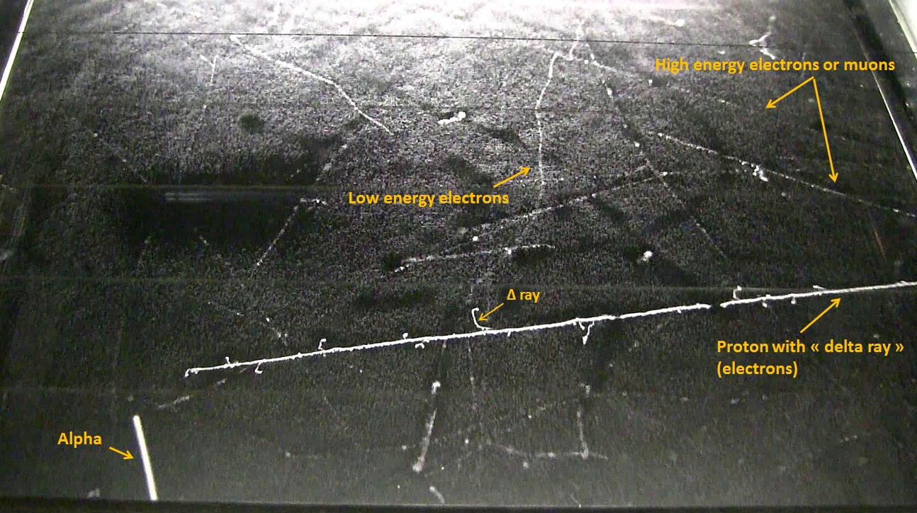 Here's How To Build Your Own Cloud Chamber To Detect Particles