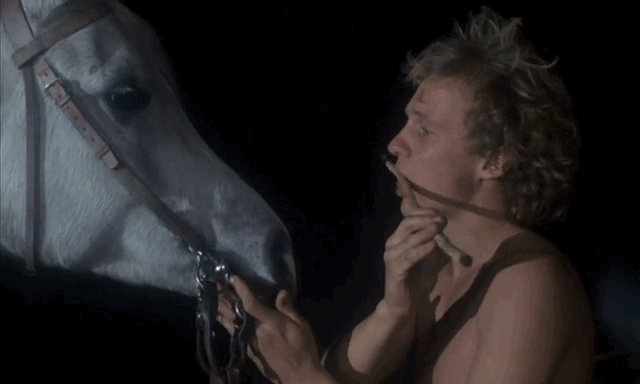 Everything You Need to Know About the “Brexit” Vote, in Equus GIFs