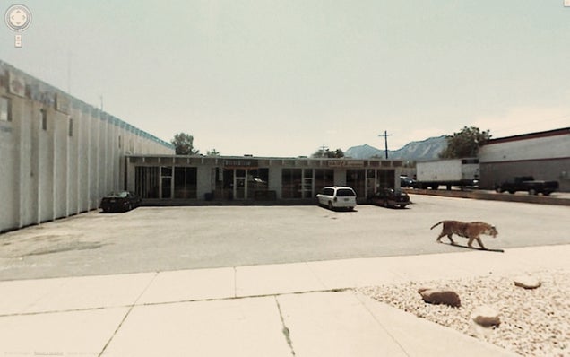 The Funniest Pictures Found on Google Street View