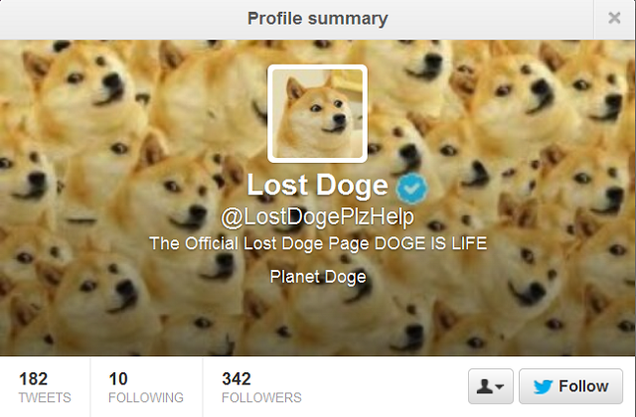 Top 10 Twitter Doges Much Followed