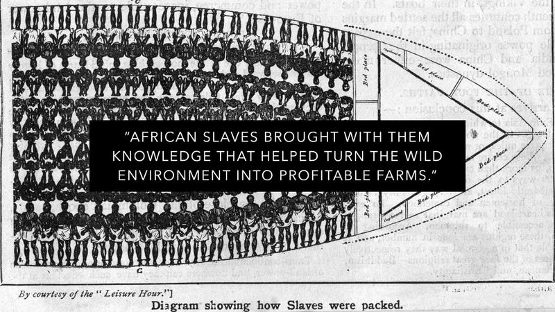 Here's How New Texas Public School Textbooks Write About Slavery
