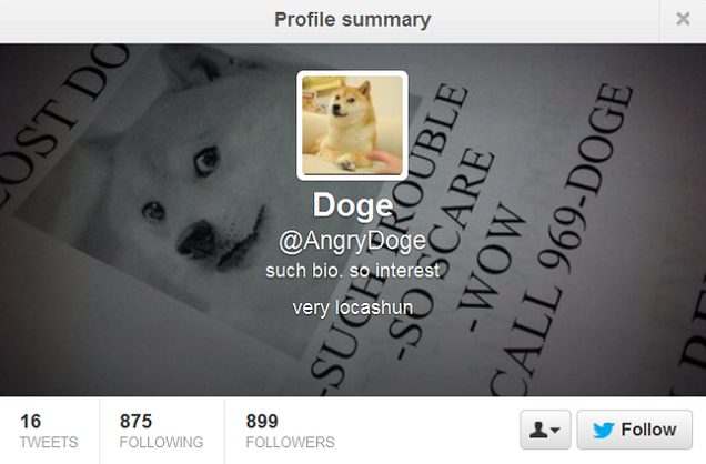 Top 10 Twitter Doges Much Followed