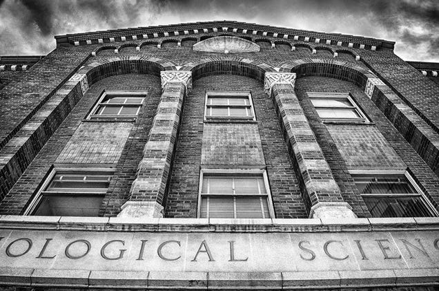 19 Photos Of (Near) Perfect Symmetry