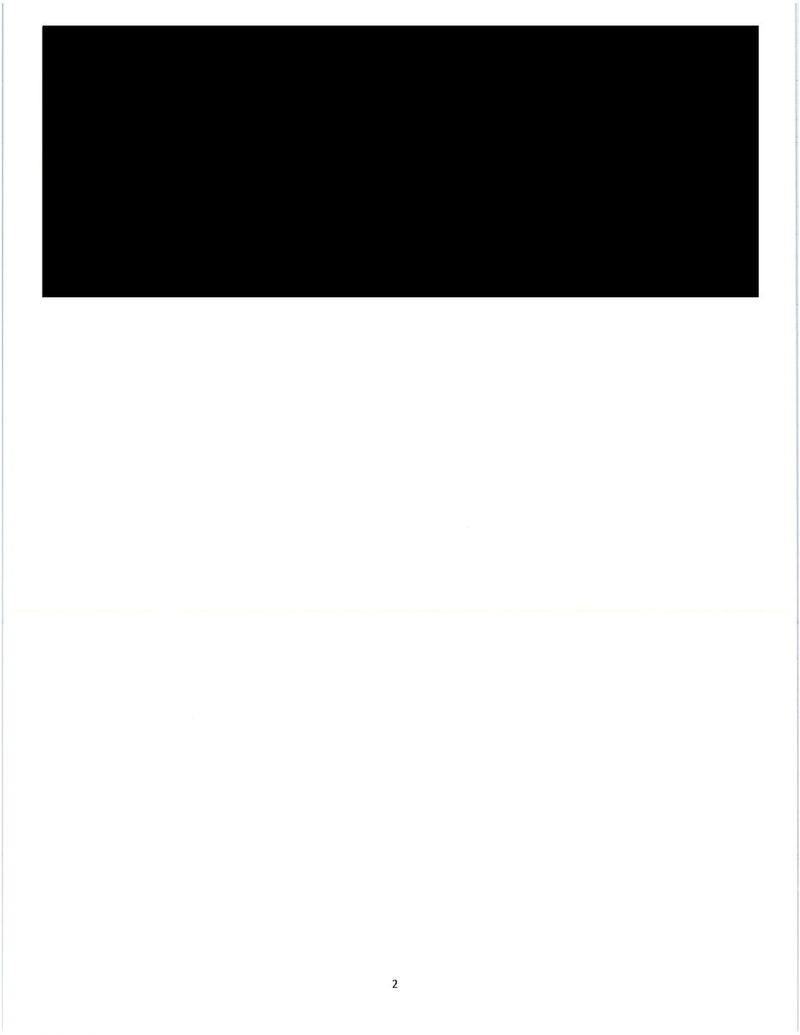 What Do You Think Is in These 73 Straight Pages of Fully Redacted Emails?