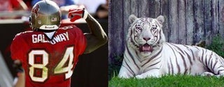 Joey Galloway Is The White Tiger