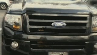 Amazing Story About Owl Stuck in Florida Woman's Car Grill Yields Amazing Animated GIF