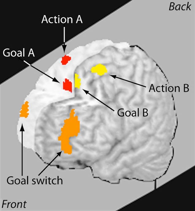 What Multitasking Does To Our Brains