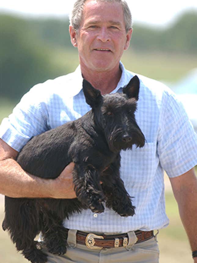 9 Notorious Animals Who Fucked Shit Up Like a Boss