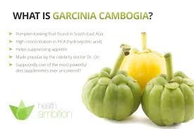 Garcinia Cambogia Results