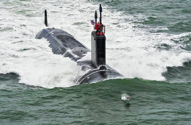 This Dolphin Is The Perfect Chaperone For The Navy's Newest Submarine