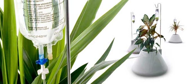 Self-Watering IV Plant Pot