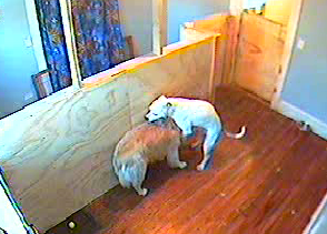 What's Duke "Fuck List" Author Karen Owen Up To These Days? Let's Find Out!