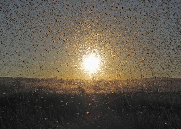Holy crap, these entries from Nat Geo's 2012 Photo Contest are absolutely gorgeous