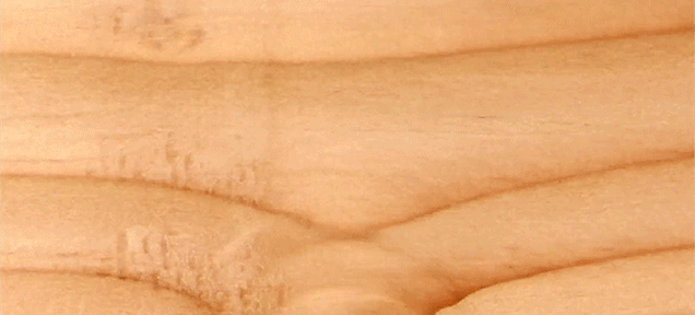 Fall in trance with this time-lapse video of wood being planed down