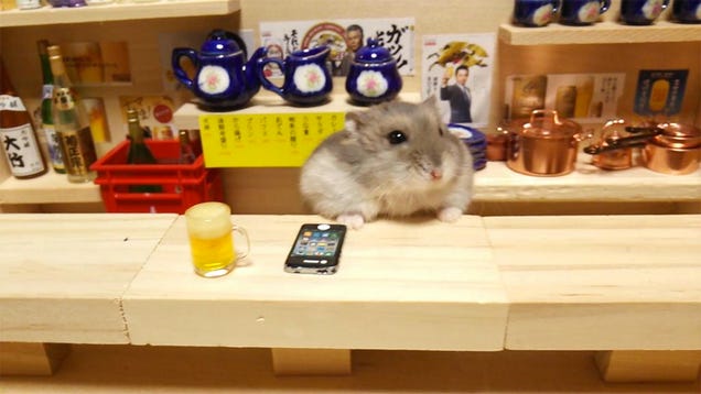 Hamster Bartenders Are All the Rage in Japan (Where Else)