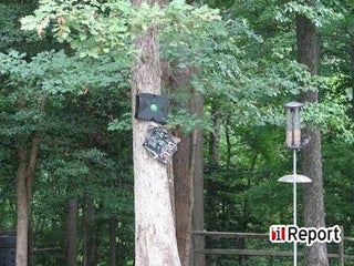 Dad Nails Xbox to Tree, Cleverly Gets on Master Chief's Bad Side