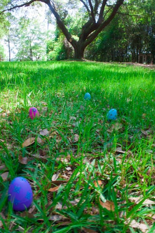Shooting Challenge: Spring Gallery 2