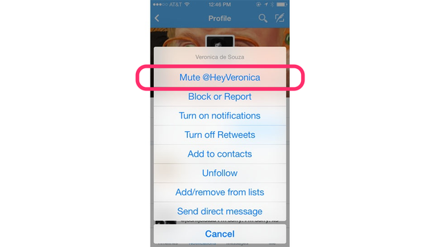 Twitter for Mobile Now Lets You Mute Individual Users