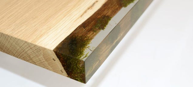 The Natural Moss on This Wooden Bookcase Is Preserved Forever in Resin