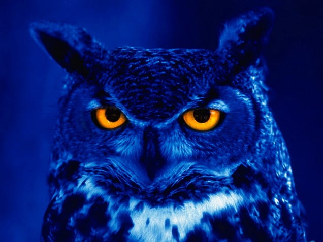 Night owl roundup.