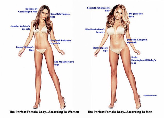 The perfect body -- male vs. female perceptions Txx8h3d5tag179bcp1pf