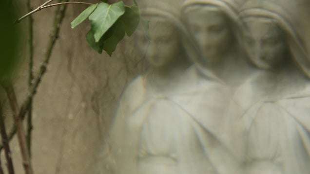 5 Photographs Taken Through Prisms