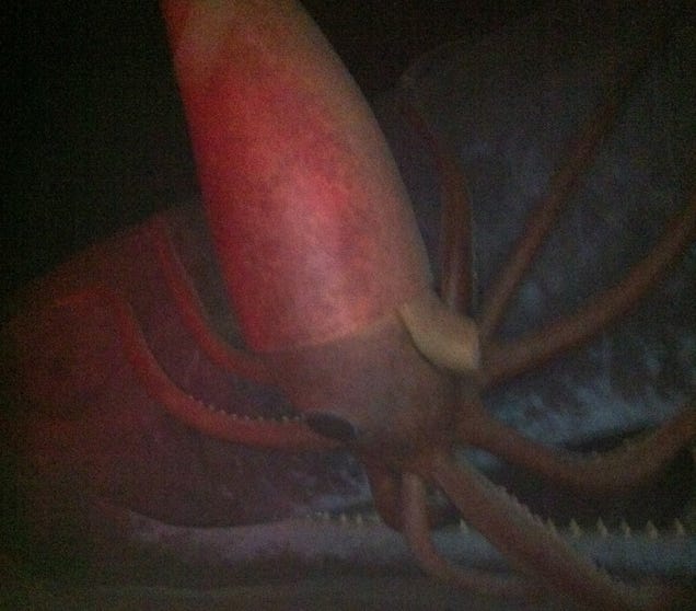 A Night At the 2012 Clio Awards On Mushrooms