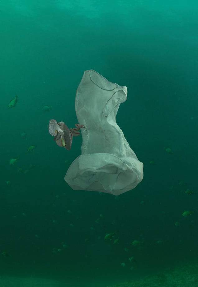 Human organs floating out of dress shirts, underwater