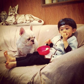 These Photos of an Adorable Little Boy and His French Bulldog Buddy Single-Handedly Justify the Existence of Instagram