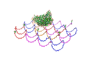 iGEM, or How to Build a Biological Organism in a Single Summer