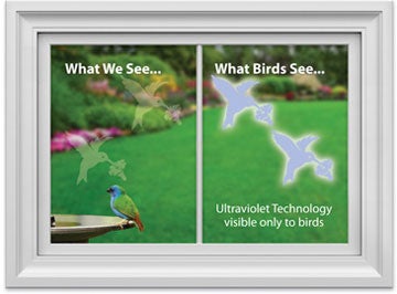 Stop Birds From Flying Into Your Windows with UV Decals