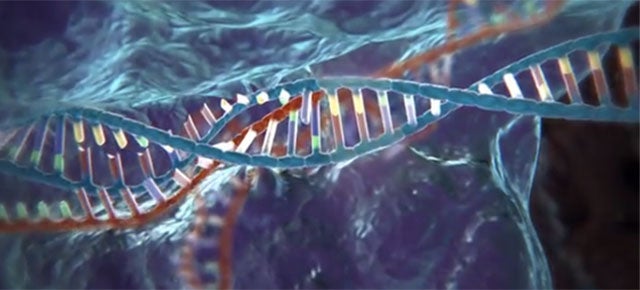 Everything You Need to Know About CRISPR, the New Tool that Edits DNA
