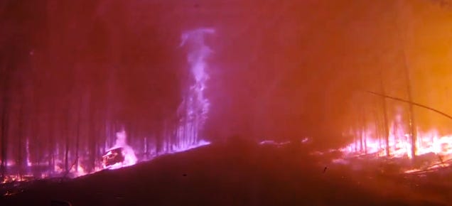 Extremely scary video of car driving right across a forest fire