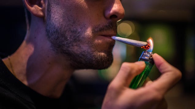 ​You're Not Paranoid, A Pot-Detecting Breathalyzer Is Coming