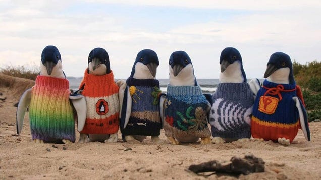 These Penguins In Sweaters Are Fake