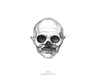 Portraits of 20th century figures — or at least their skulls