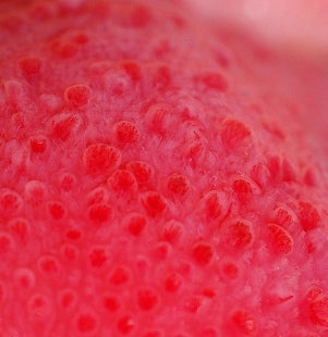 Does Food Make Your Tongue Taste Good Does Food Make Your Tongue Taste Good