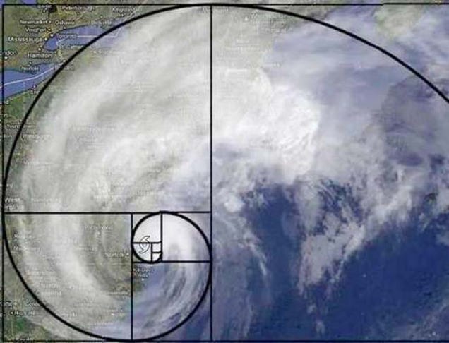 15 Uncanny Examples of the Golden Ratio in Nature