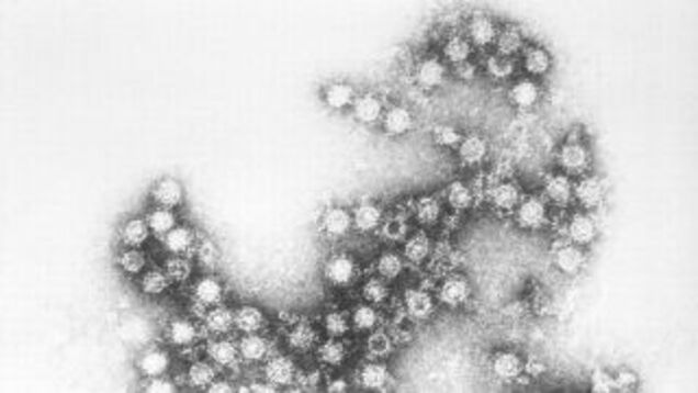 What You Need To Know About The Current Enterovirus Outbreak
